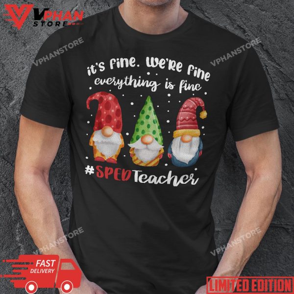 Everything Is Fine Special Education SPED Teacher Christmas T-Shirt