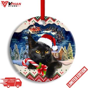 Black Cat Funny Xmas Light Santa Claus Ornament 1