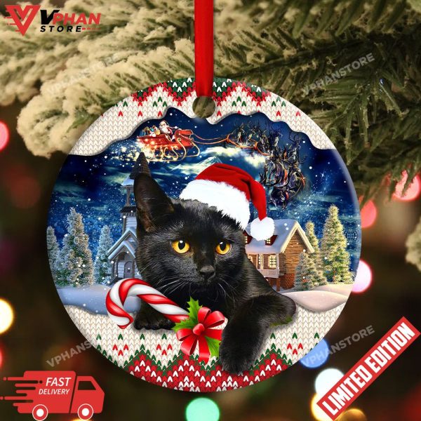 Funny Xmas Light Santa Claus Black Cat Ornament