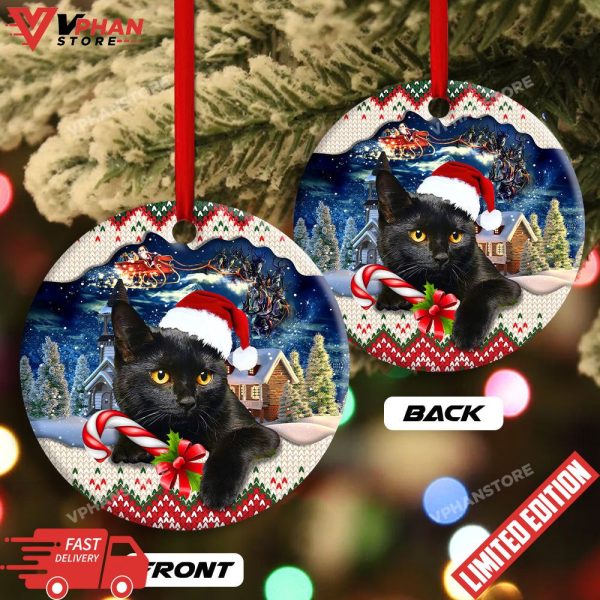 Funny Xmas Light Santa Claus Black Cat Ornament