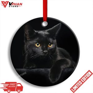 Black Cat Kitty Lover Round Christmas Ornament 1