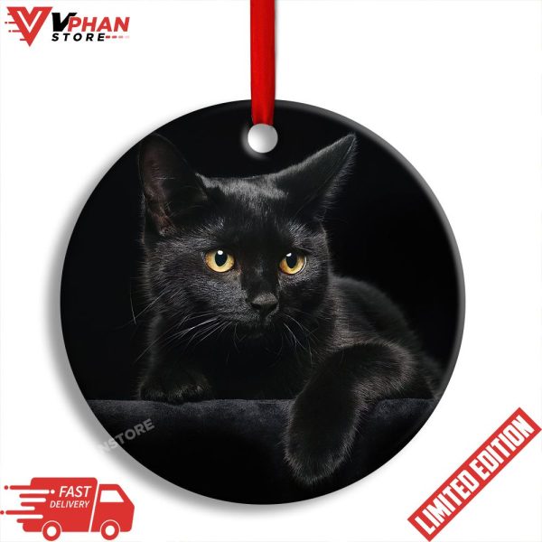 Black Cat Kitty Lover Round Xmas Ornament