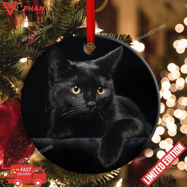 Black Cat Kitty Lover Round Xmas Ornament