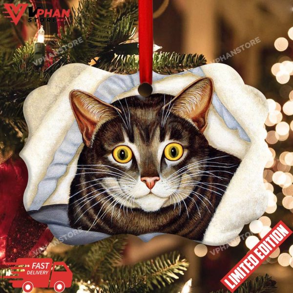 Cat Cute Tabby Art Style Ornament