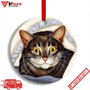 Cat Cute Tabby Art Style Round Christmas Ornament 1