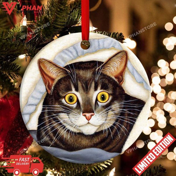 Cat Cute Tabby Art Style Round Christmas Ornament