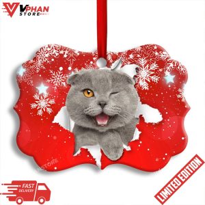 Cat Funny Kitten Red Background Winter Snowy Ornament 1