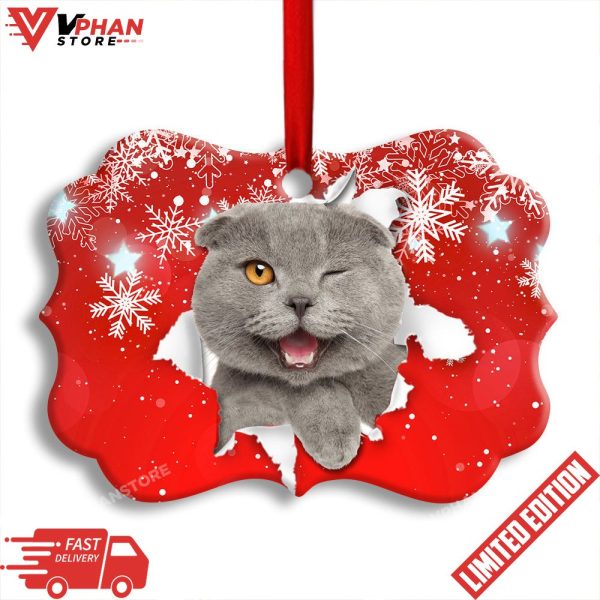 Cat Funny Kitten Winter Snowy Red Background Ornament