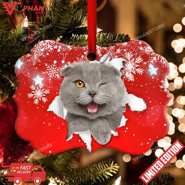 Cat Funny Kitten Winter Snowy Red Background Ornament