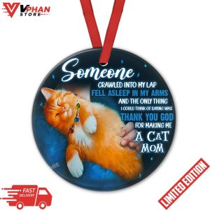 Cat Mom Someone Love It Round Christmas Ornament 1