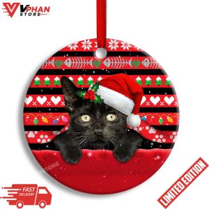 Christmas Black Cat Funny Xmas Decor Tree Hanging Ornament 1