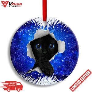 Christmas Black Cat Xmas Decor Tree Hanging Round Ornament 1