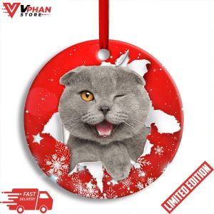 Christmas Cat Funny Kitten Red Background Winter Snowy Ornament 1