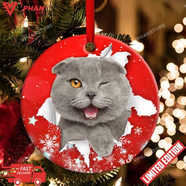 Christmas Cat Funny Kitten Red Background Winter Snowy Ornament