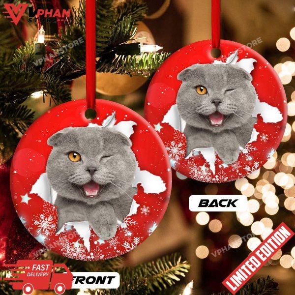 Christmas Cat Funny Kitten Red Background Winter Snowy Ornament