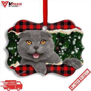 Christmas Cat Happy Meowy Xmas Horizontal Ornament 1