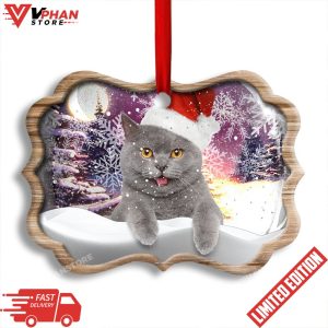 Christmas Cat Snowy Day Horizontal Ceramic Ornament 1