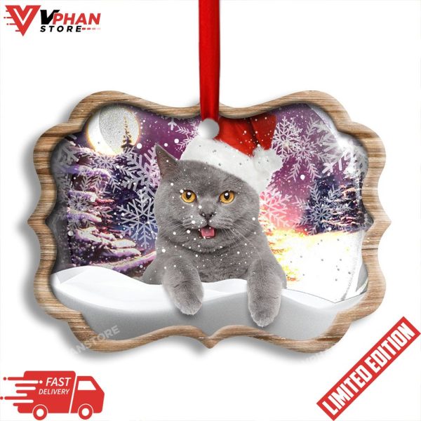 Christmas Cat Snowy Day Horizontal Ceramic Ornament