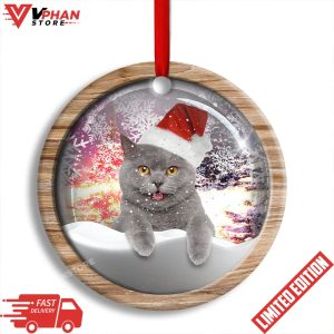 Christmas Cat Snowy Day Round Christmas Ornament 1