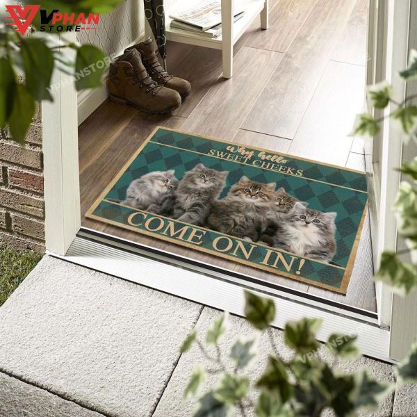 Maine Coon Cat Easy Clean Welcome DoorMat